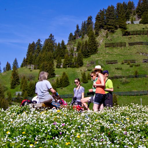 The Swiss canton of Vaud offers a summer calendar of festival fun for all the family