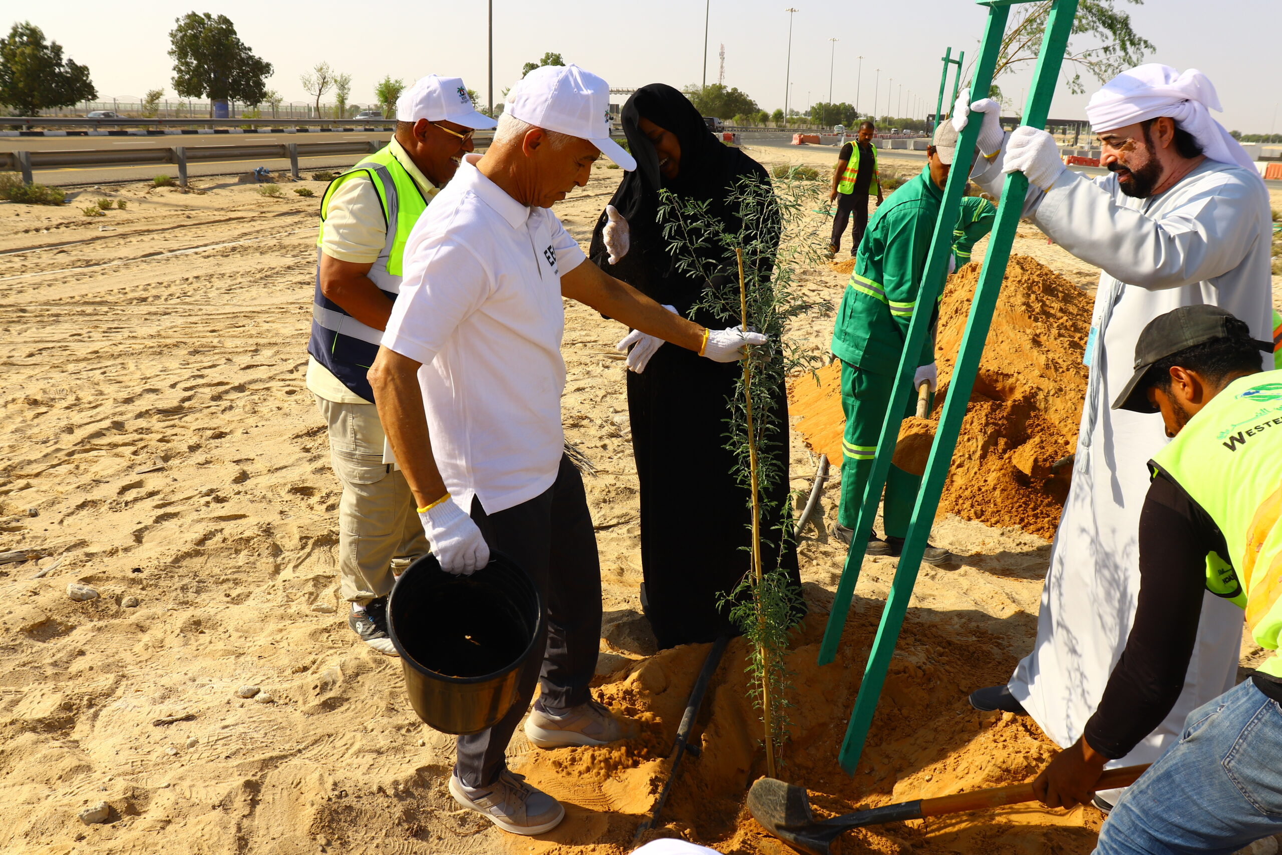 Emirates Environmental Group commences the annual afforestation drive. 