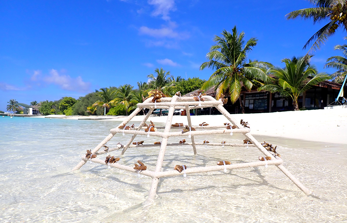 SHERATON MALDIVES FULL MOON RESORT & SPA MAKES WAVES IN SUSTAINABILITY 